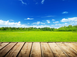 spring field and wood floor