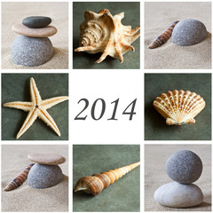 composition galets et coquillages 2014