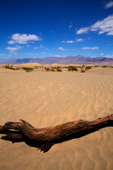 Mesquite Dunes desert in Death Valley National Park