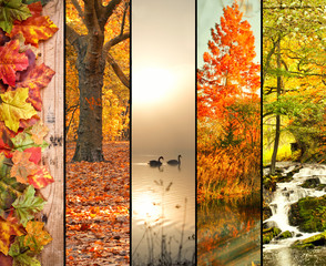 bunte Herbst-Collage
