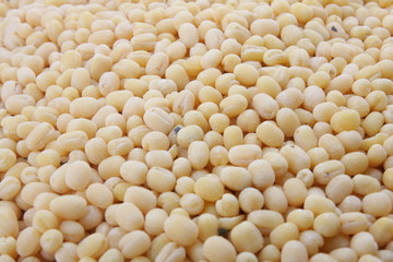 Close up of Soy Beans.