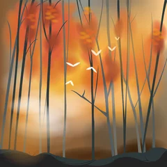 Fototapete Vögel im Wald Unfruchtbarer Waldhintergrund in der Sonnenuntergangszene