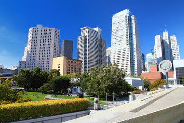yerba buena