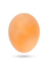 Close up of an egg isolated on white background