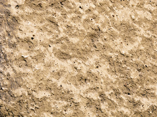 Background Texture Cement Wall