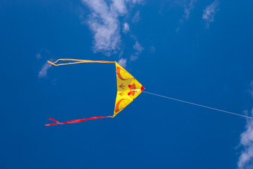 Soaring kite on the background of blue sky