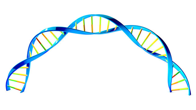 Dna elica molecole cerchio