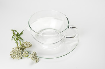 Leere Glastasse und Schafgarbenblüten