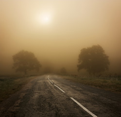 Autumn Landscape with Trees and Road in Fog
