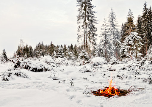 Fototapeta Campfire in the winter forest