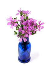 Naklejka na ściany i meble dzikie kwiaty fioletowe w niebieskiej butelce