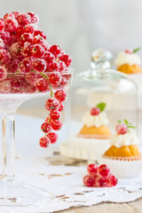 Obraz na płótnie Canvas Sugared redcurrant. In the background beautiful cupcakes