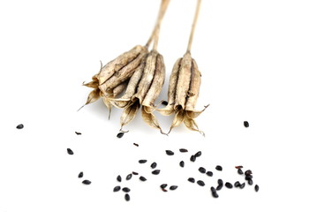 Seed capsules