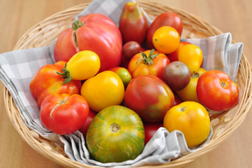 Naklejka na ściany i meble Starych odmian pomidorów