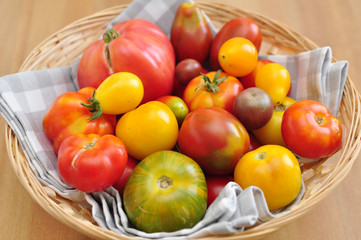 Alte Tomaten Sorten