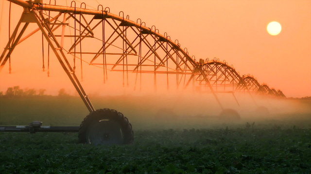 Crop Irrigation at Sunset