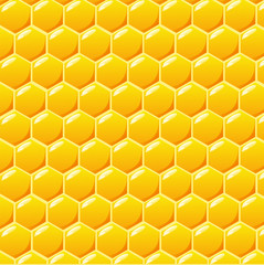 Honeycomb vector background