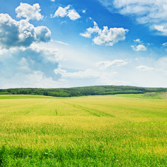 field and  sky