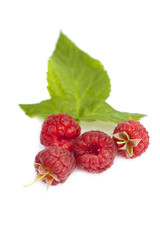 raspberry