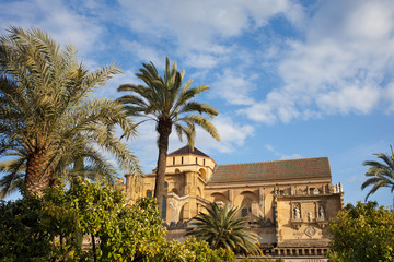 Fototapeta na wymiar Courtyard Garden and Mezquita Cathedral of Cordoba
