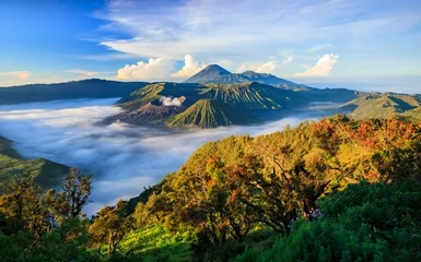 Peel and stick wall murals Indonesia Bromo vocalno at sunrise, East Java, , Indonesia