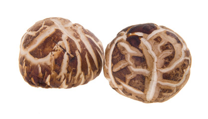 Dried mushroom closeup on background