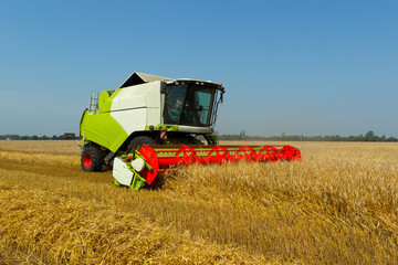 a combine harvester in a golden wheat field