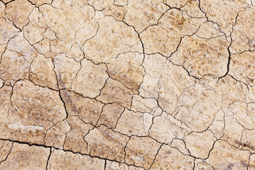 Dried crack land