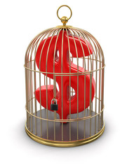 Gold Cage with dollar (clipping path included)
