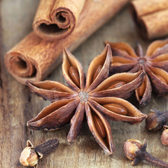 Christmas spices - star anise, cloves and cinnamon