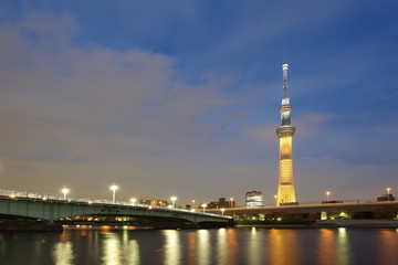 Fototapeta na wymiar Tokyo sky tree