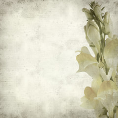 textured old paper background