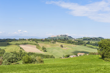 Fototapeta na wymiar Krajobraz w pobliżu Pienza Toskania