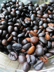 Coffee bean in the jar