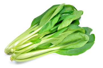 Japanese Mustard Spinach