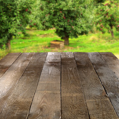 Obraz premium garden