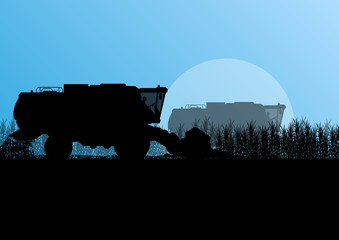 Agricultural combine harvester in grain field seasonal farming l © kstudija