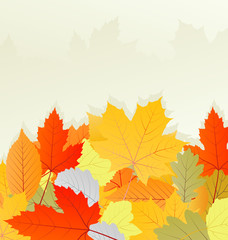 Autumn leaves background vector concept