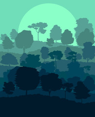 Mystical forest vector background landscape concept