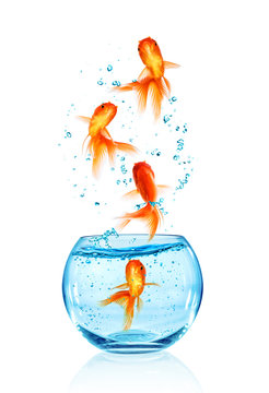 Goldfish Jumping.