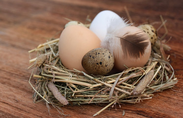Nest from a dry grass with chicken and quail eggs on an old wooden background