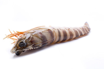 big shrimp
