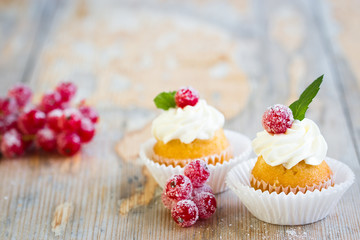Cupcakes with sugared redcurrants and fresh mint leaves 