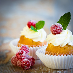Cupcakes with sugared redcurrants and fresh mint leaves 