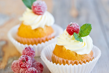 Cupcakes with sugared redcurrants and fresh mint leaves 