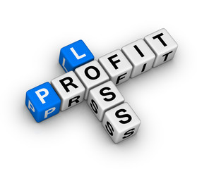 loss and profit