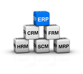 ERP System illustration
