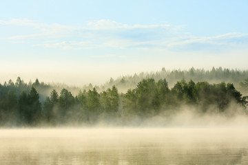 foggy forest and lake at dawn