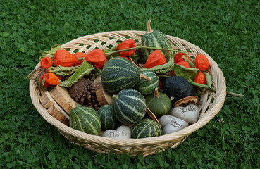 Herbst Kürbis Dekoration