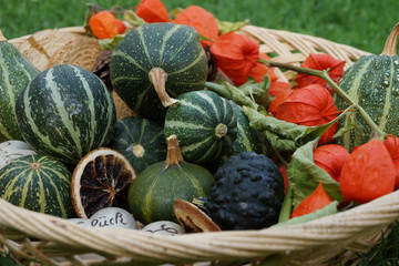 Herbst Kürbis Dekoration
